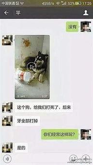 血腥小视频,揭秘网络小视频背后的黑暗真相